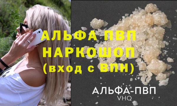 стафф Володарск