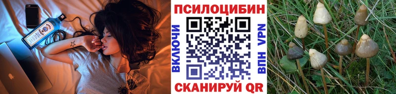Галлюциногенные грибы мицелий  хочу   Камышлов 